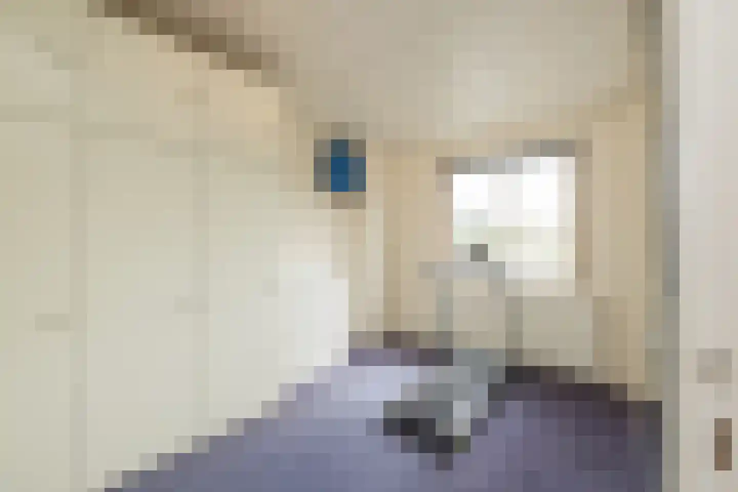 Ligusterweg 1 Noordwijk thumbnail 23