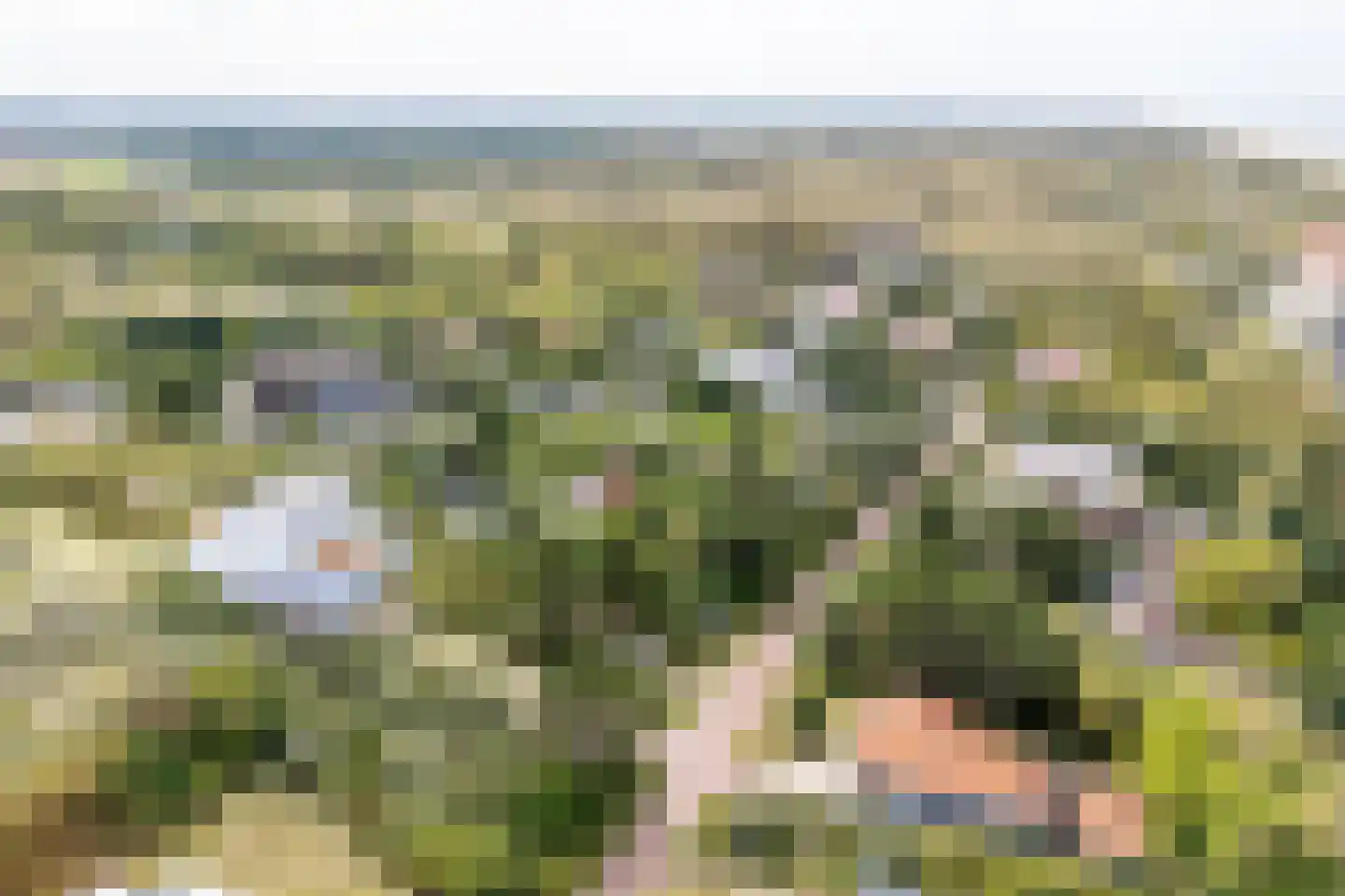 Ligusterweg 1 Noordwijk thumbnail 5