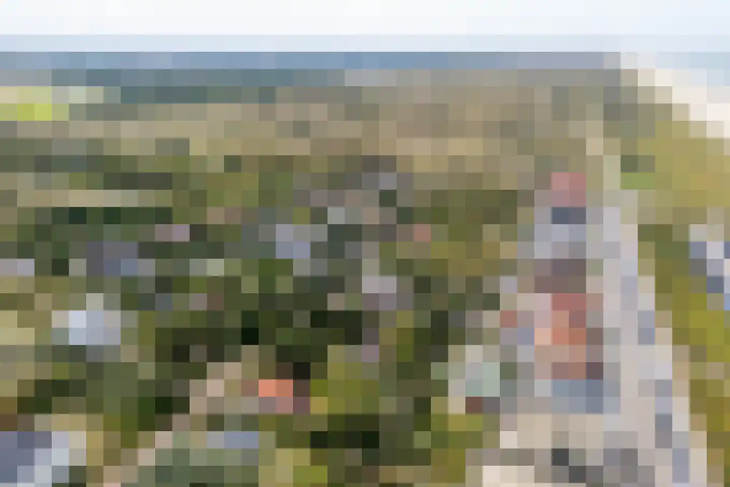 Ligusterweg 1 Noordwijk thumbnail 7