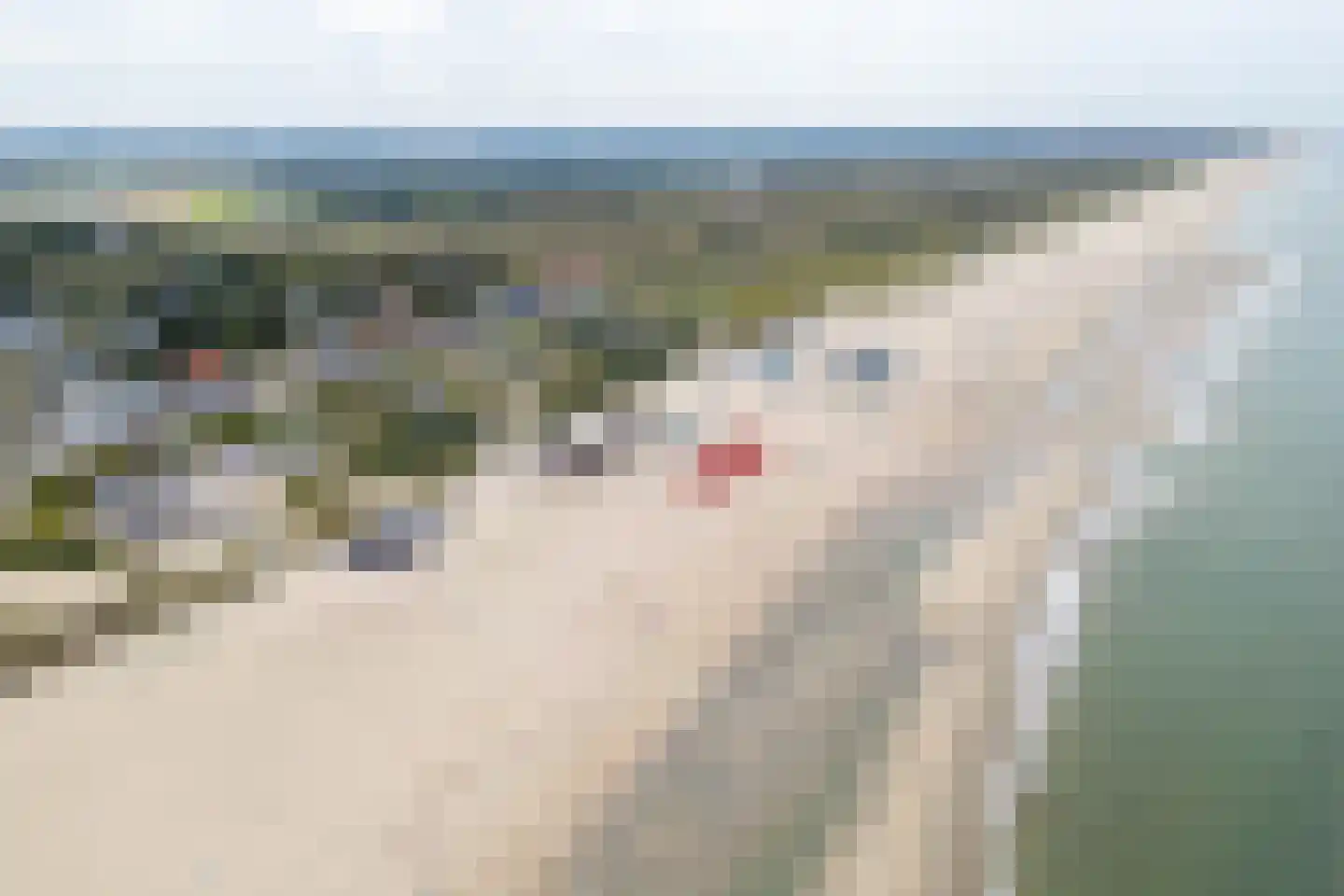 Ligusterweg 1 Noordwijk thumbnail 9