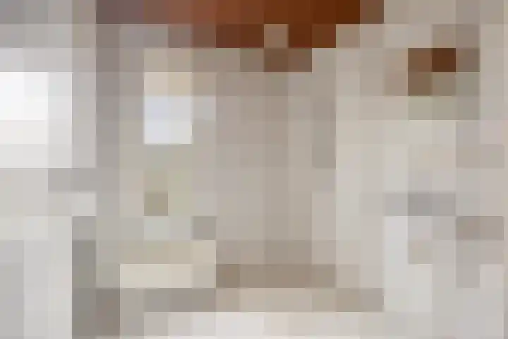 Ligusterweg 1 Rotterdam thumbnail 14