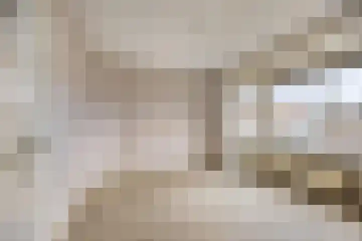 Ligusterweg 1 Rotterdam thumbnail 16