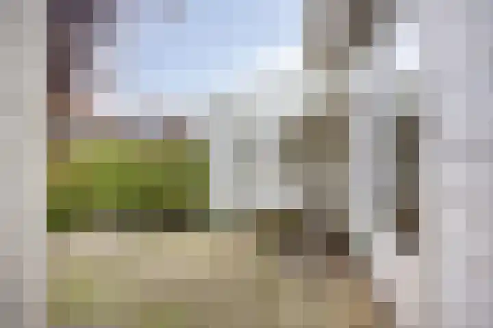 Ligusterweg 1 Rotterdam thumbnail 17