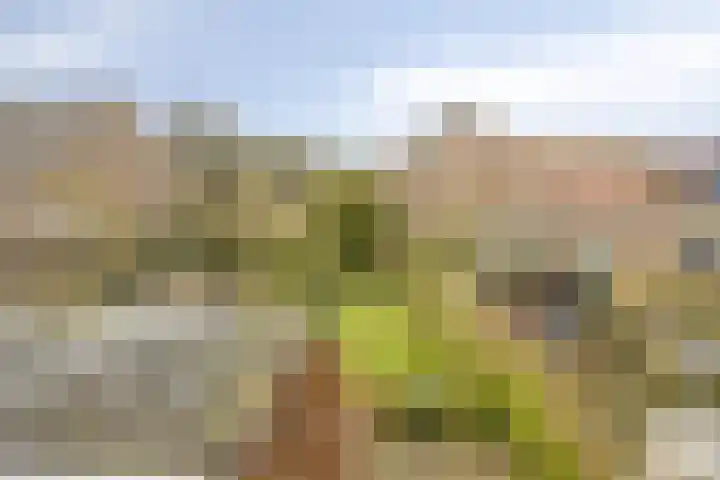 Ligusterweg 1 Rotterdam thumbnail 20