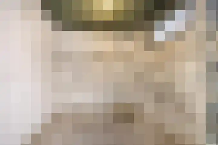 Ligusterweg 1 Rotterdam thumbnail 21