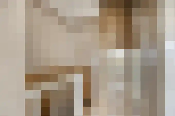 Ligusterweg 1 Rotterdam thumbnail 22