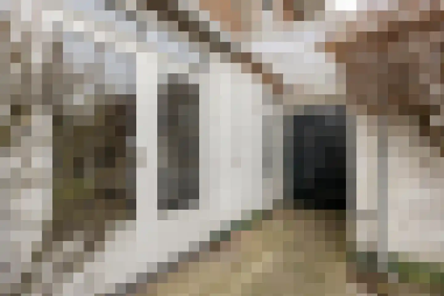 Ligusterweg 1 Rotterdam thumbnail 23