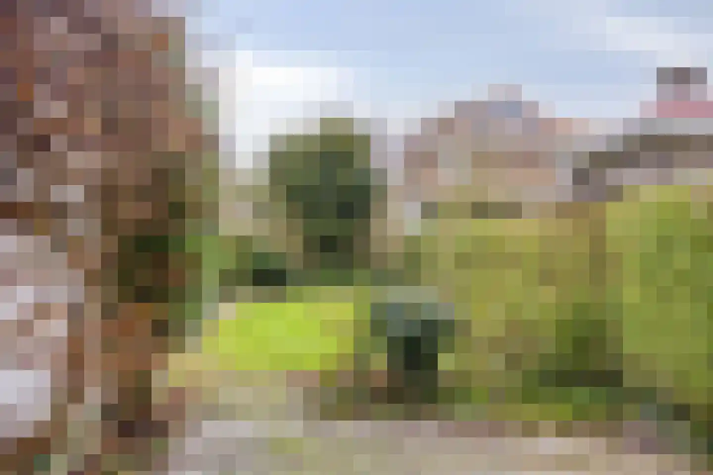 Ligusterweg 1 Rotterdam thumbnail 24
