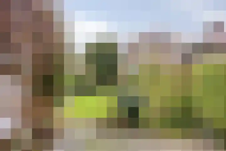 Ligusterweg 1 Rotterdam thumbnail 24