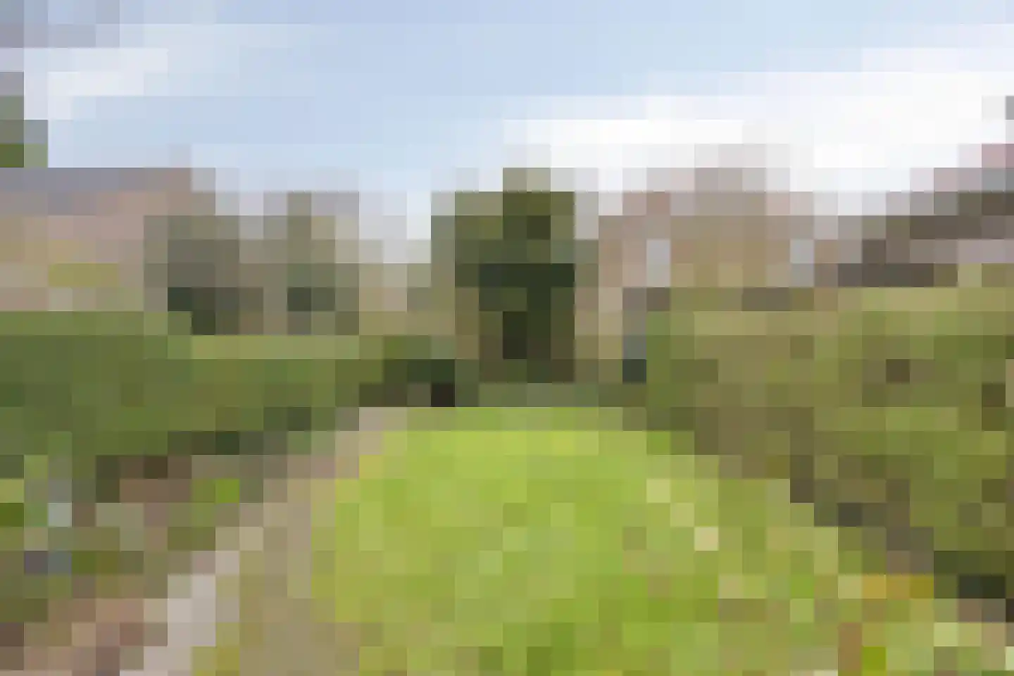Ligusterweg 1 Rotterdam thumbnail 25