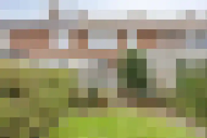 Ligusterweg 1 Rotterdam thumbnail 26