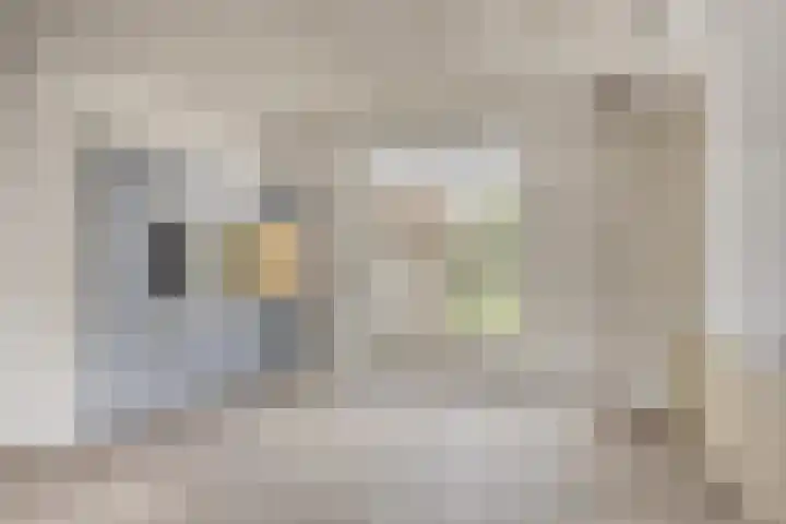 Ligusterweg 1 Rotterdam thumbnail 8