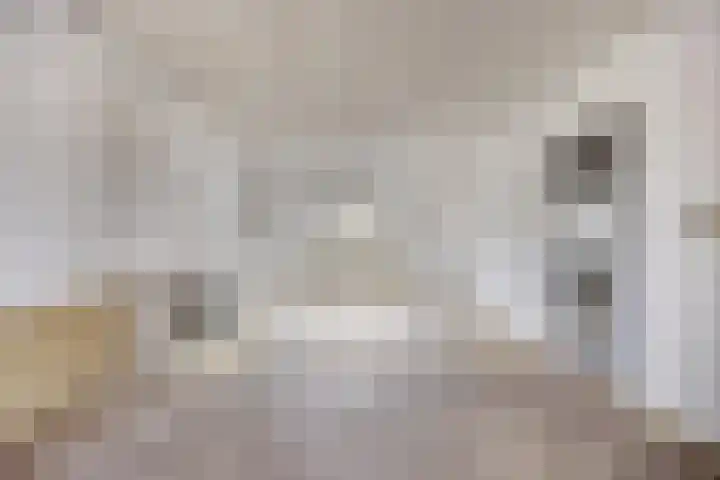 Ligusterweg 1 Rotterdam thumbnail 9