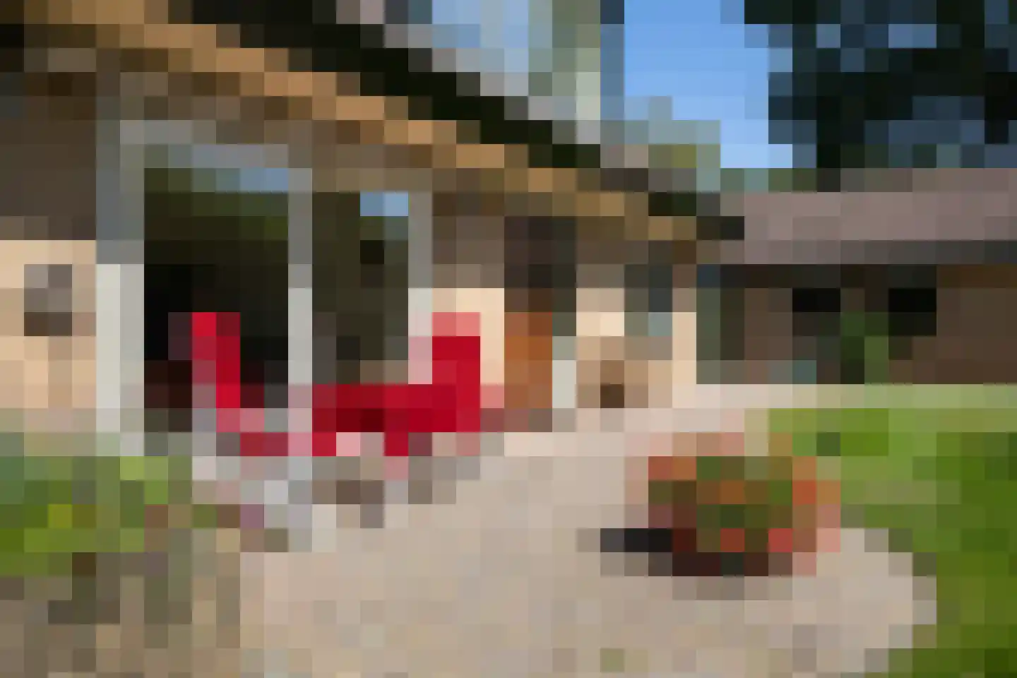 Ligusterweg 13 Ermelo thumbnail 33
