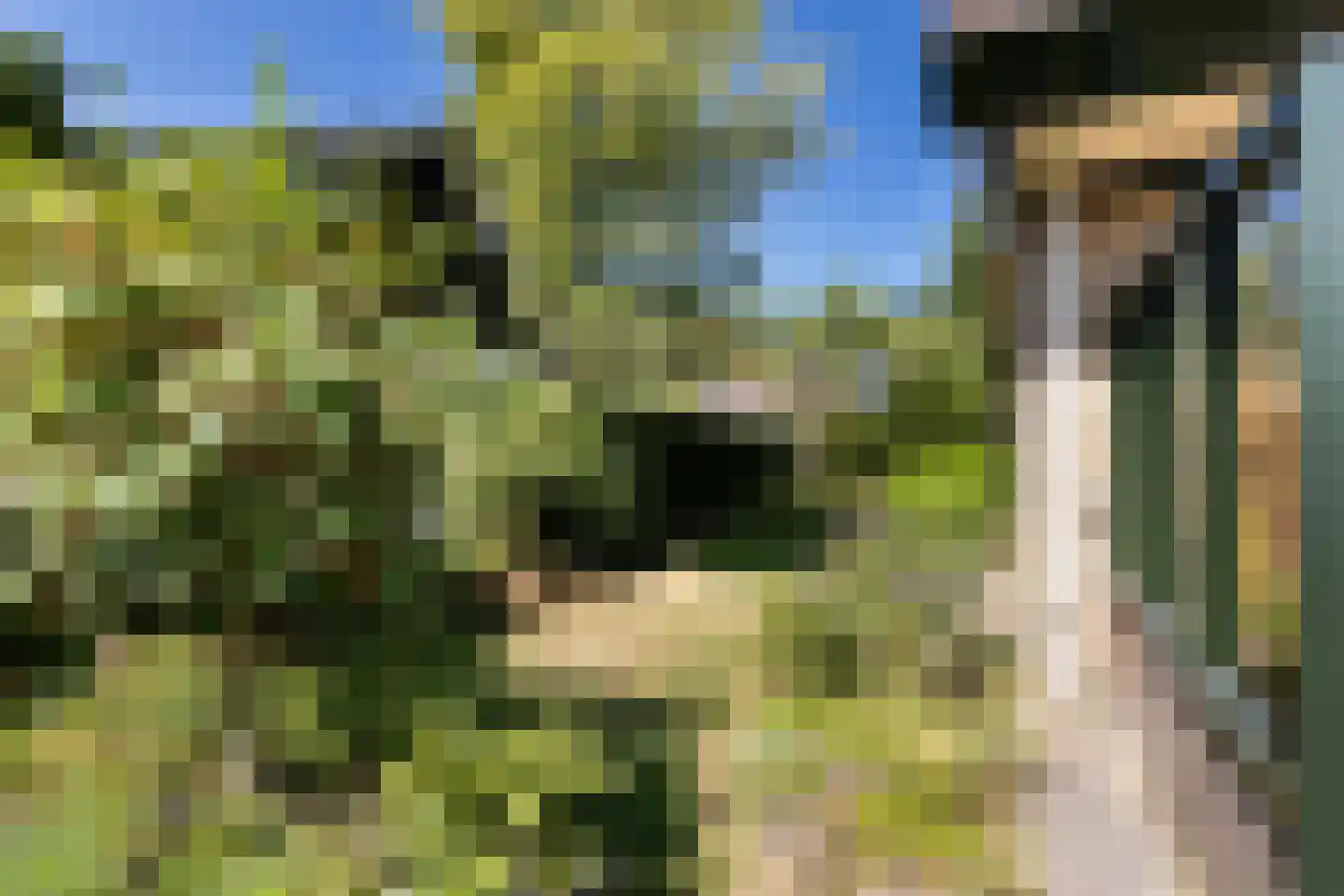 Ligusterweg 13 Ermelo thumbnail 34