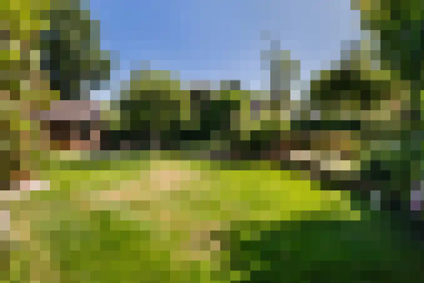 Ligusterweg 13 Ermelo thumbnail 36