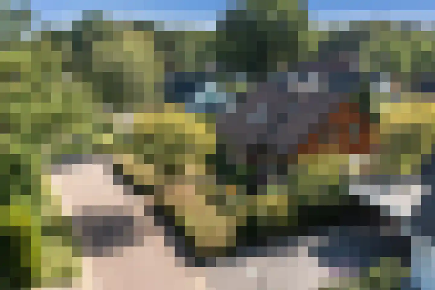 Ligusterweg 13 Ermelo thumbnail 41