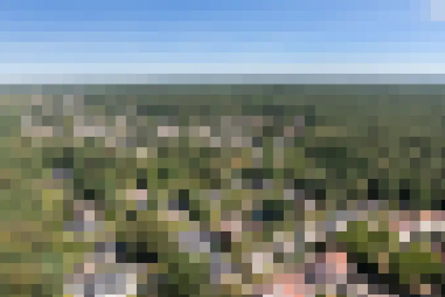 Ligusterweg 13 Ermelo thumbnail 42