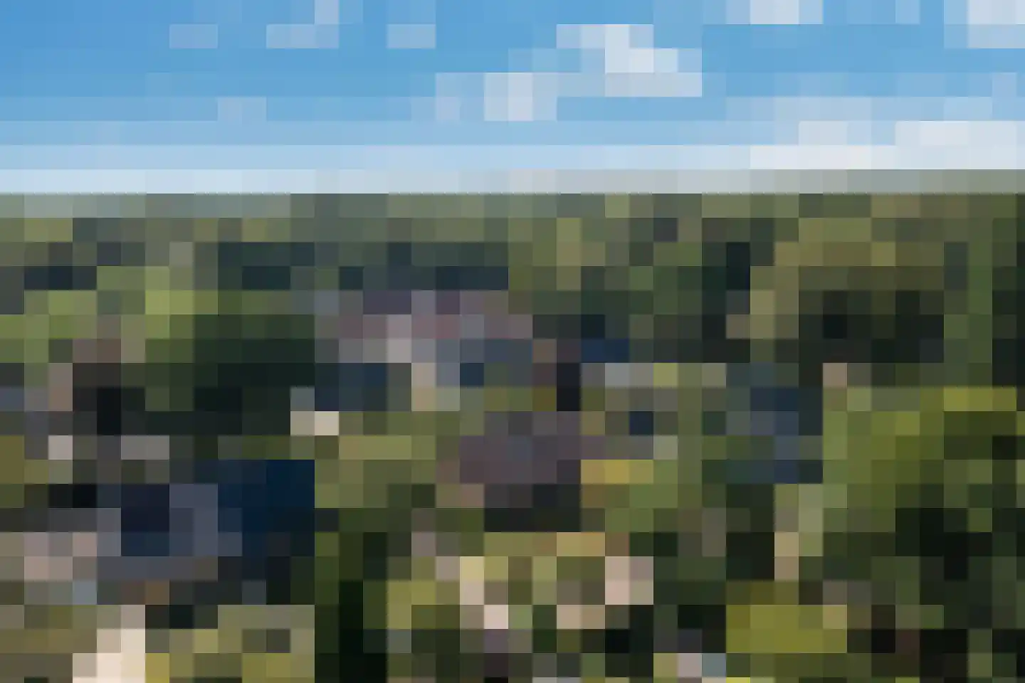 Ligusterweg 13 Ermelo thumbnail 43