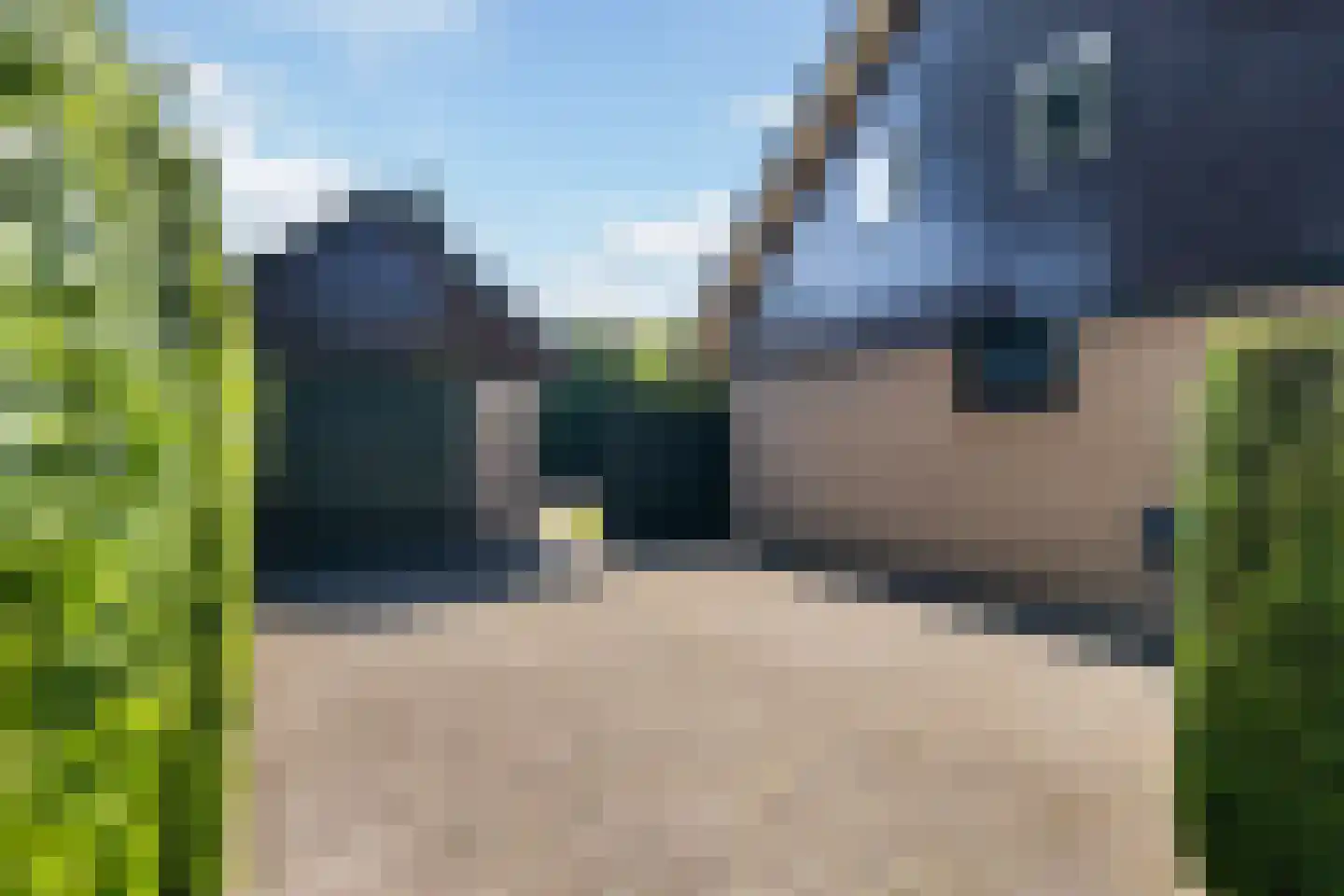 Ligusterweg 13 Ermelo thumbnail 5