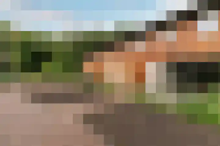 Ligusterweg 34 Cruquius thumbnail 21