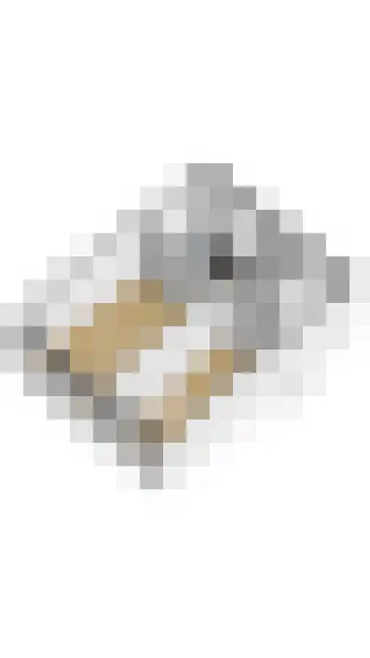 Ligusterweg 34 Cruquius thumbnail 25