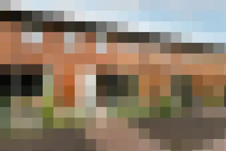 Ligusterweg 34 Cruquius thumbnail 28