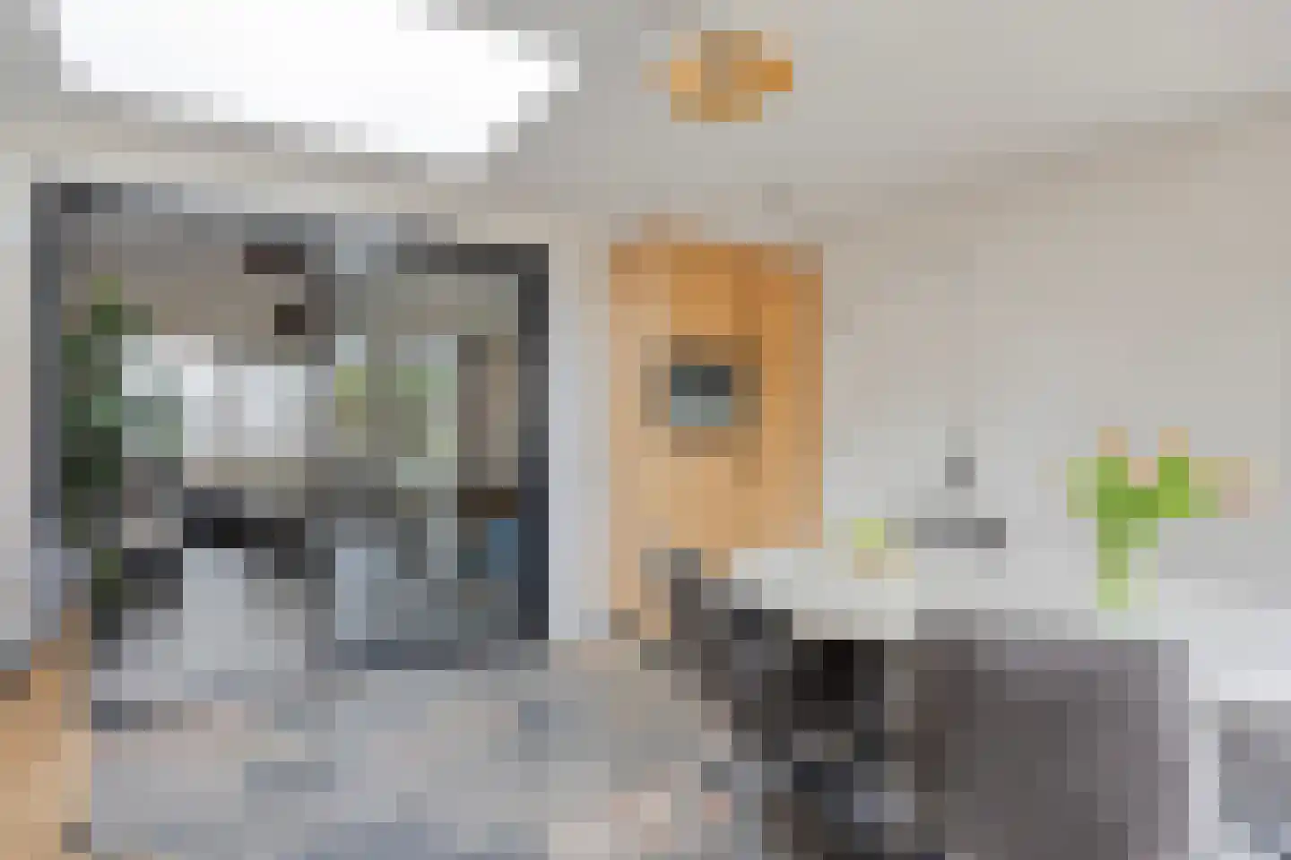 Lijestraat 52 Lierop thumbnail 16