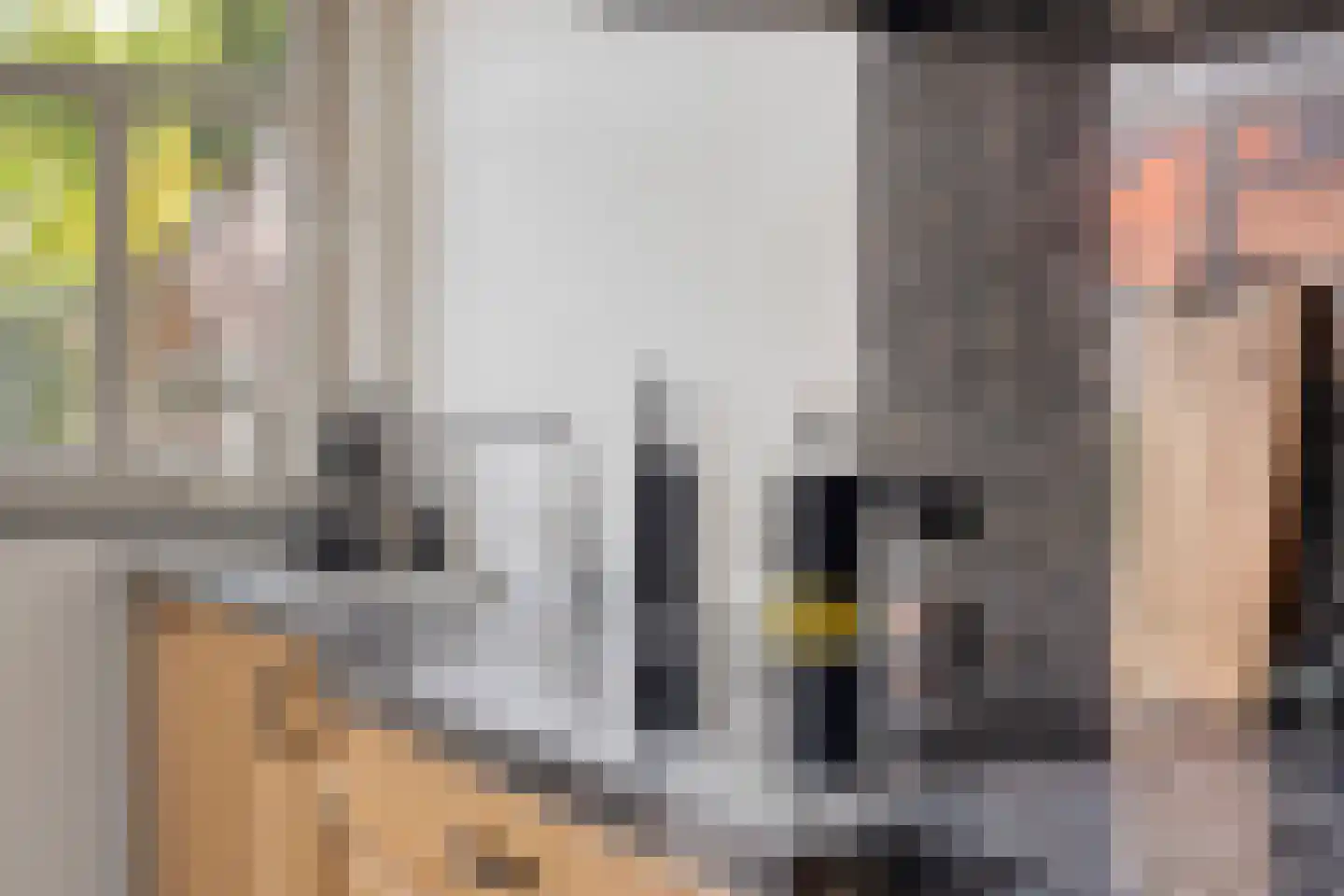 Lijestraat 52 Lierop thumbnail 21