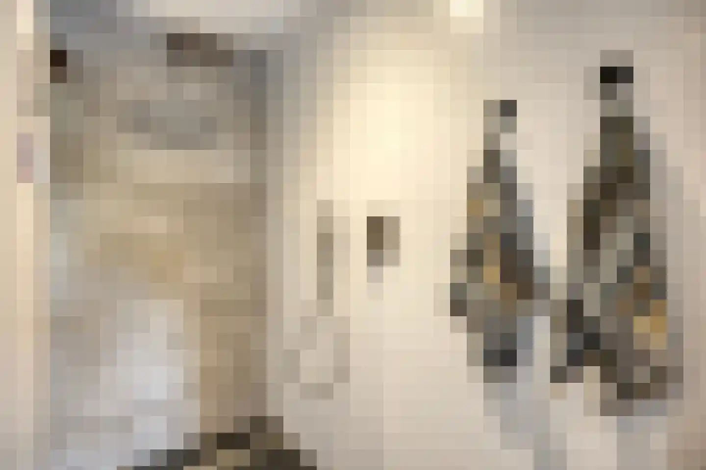 Lijestraat 52 Lierop thumbnail 28