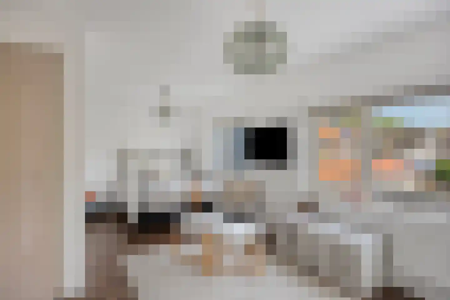 Lijestraat 52 Lierop thumbnail 30