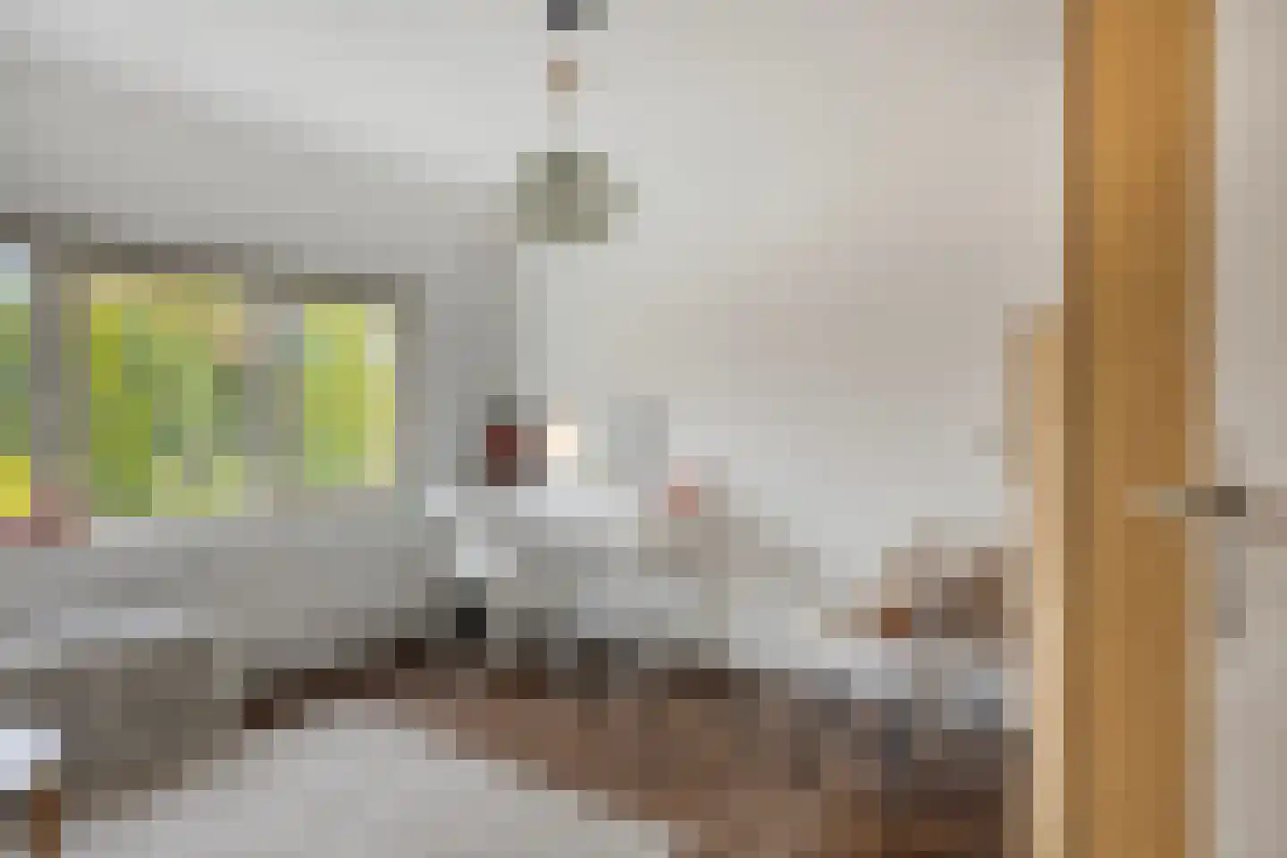 Lijestraat 52 Lierop thumbnail 32