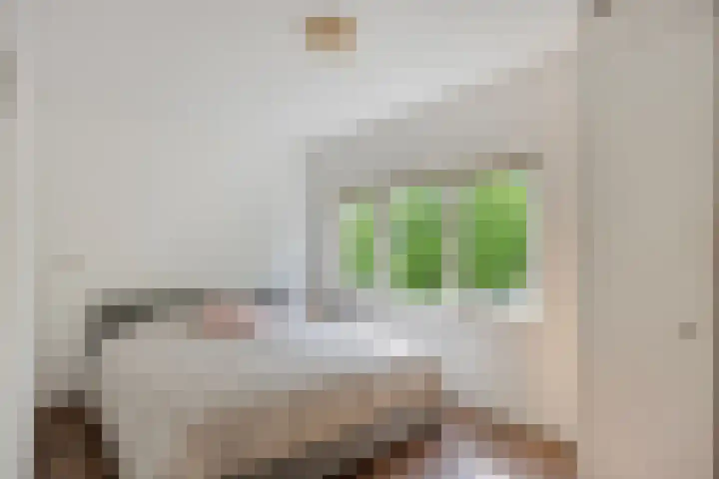 Lijestraat 52 Lierop thumbnail 33