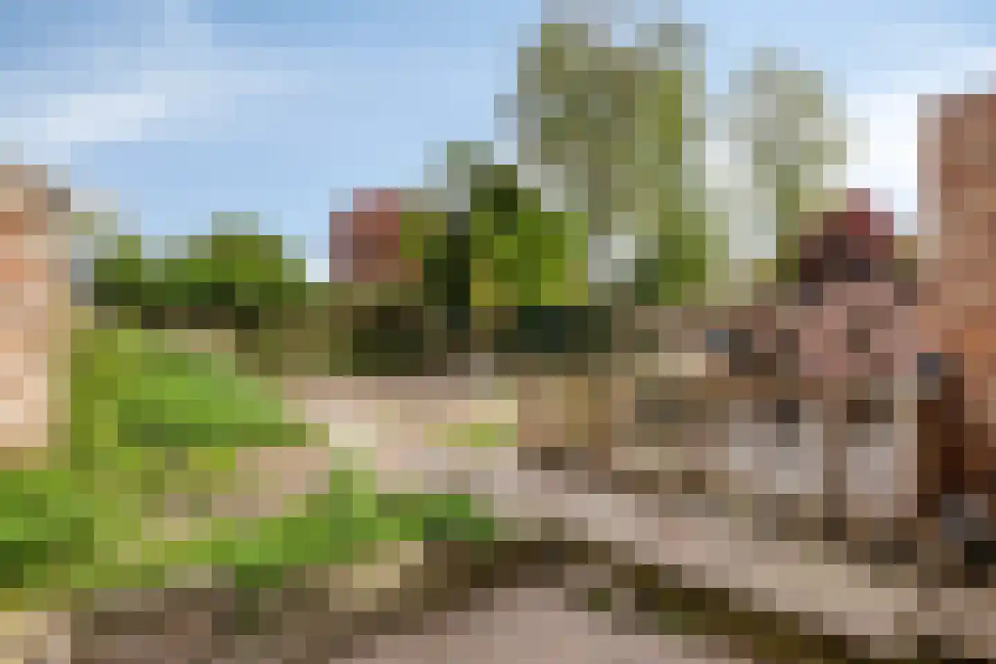 Lijestraat 52 Lierop thumbnail 37