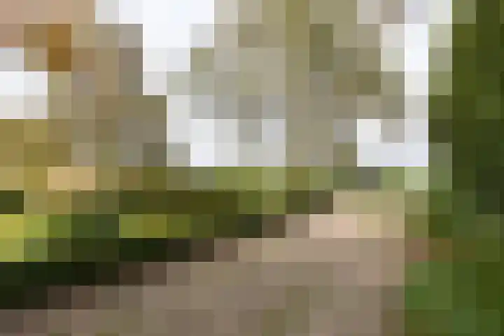 Lijkweg 7 Groessen thumbnail 11