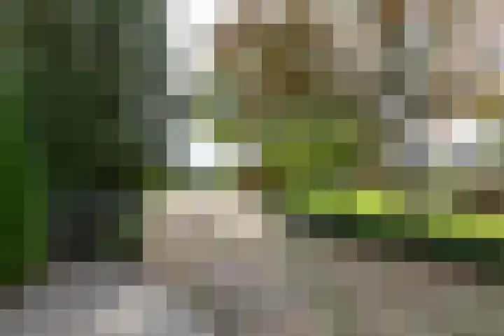 Lijkweg 7 Groessen thumbnail 12