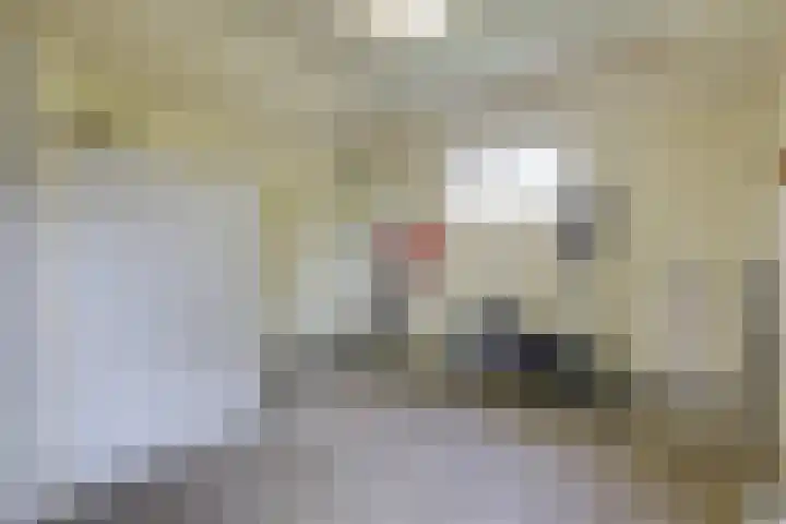 Lijkweg 7 Groessen thumbnail 14