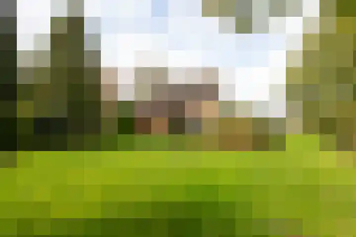 Lijkweg 7 Groessen thumbnail 41