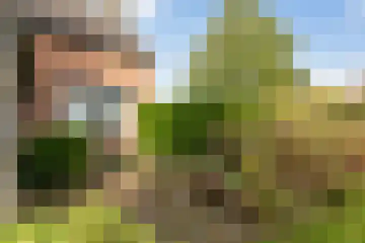 Lijkweg 7 Groessen thumbnail 43
