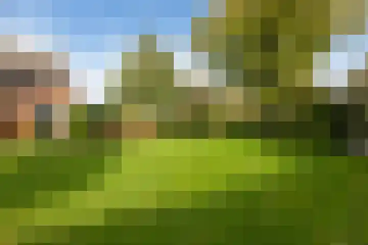 Lijkweg 7 Groessen thumbnail 44