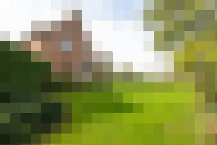 Lijkweg 7 Groessen thumbnail 45