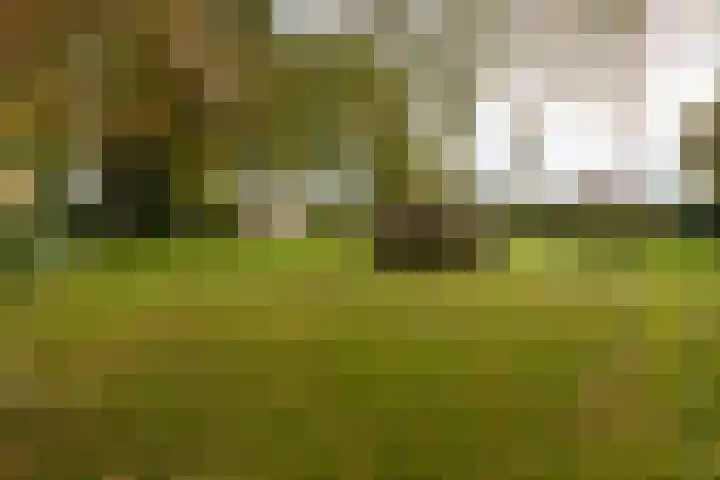Lijkweg 7 Groessen thumbnail 47