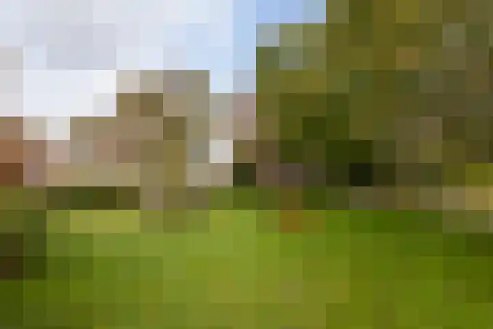 Lijkweg 7 Groessen thumbnail 55