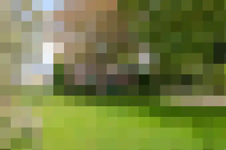 Lijkweg 7 Groessen thumbnail 57