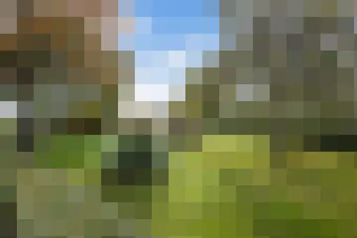 Lijkweg 7 Groessen thumbnail 58