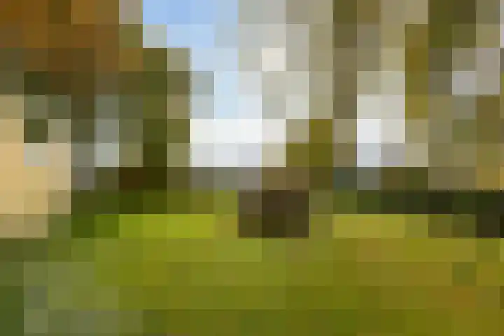 Lijkweg 7 Groessen thumbnail 59