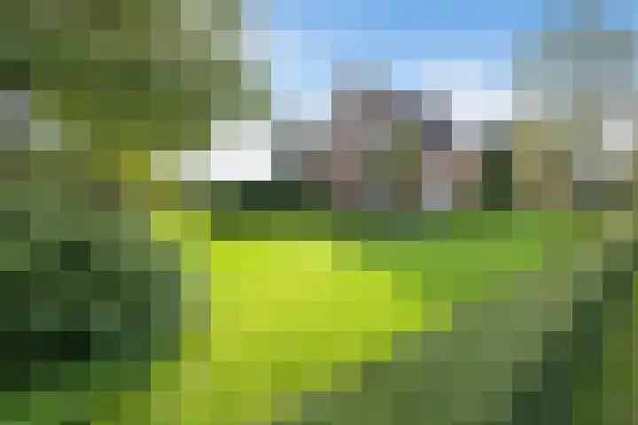 Lijkweg 7 Groessen thumbnail 6