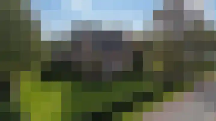 Lijkweg 7 Groessen thumbnail 60