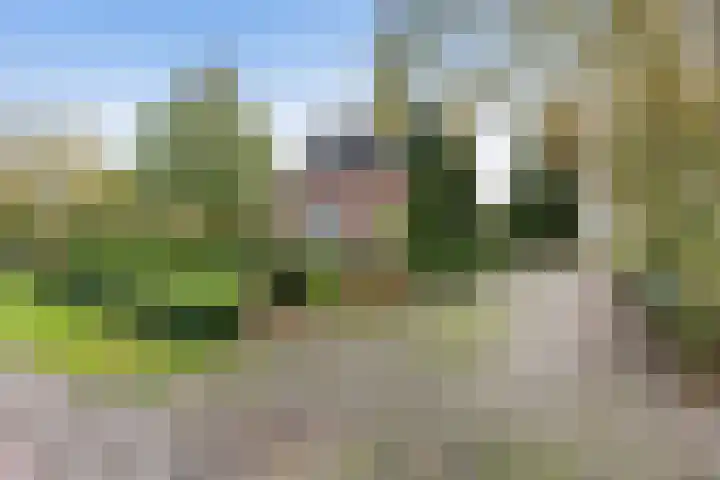 Lijkweg 7 Groessen thumbnail 9