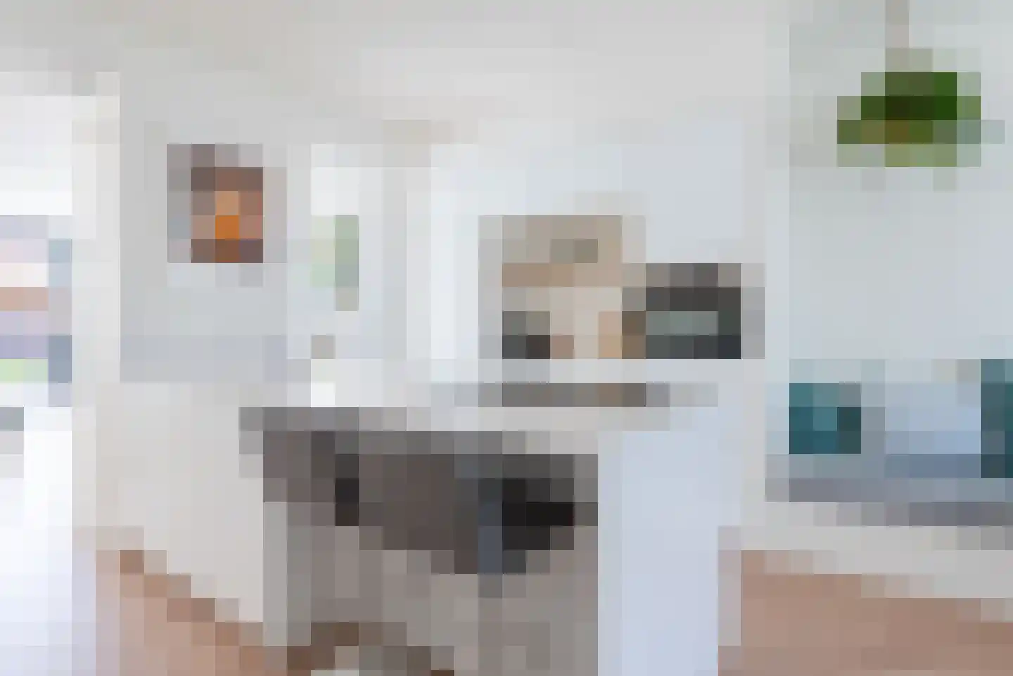 Lijmbeekstraat 107 Eindhoven thumbnail 14
